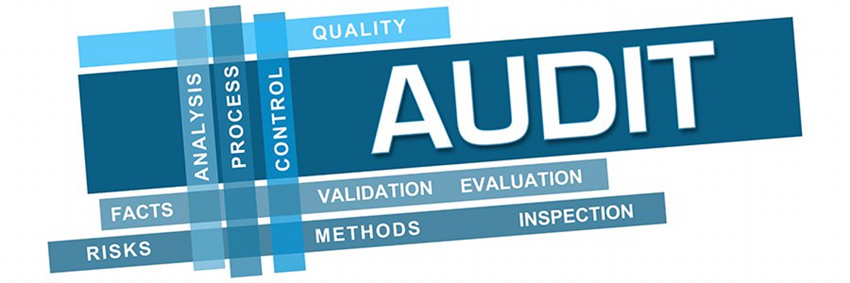 Audit-Assurance-Services