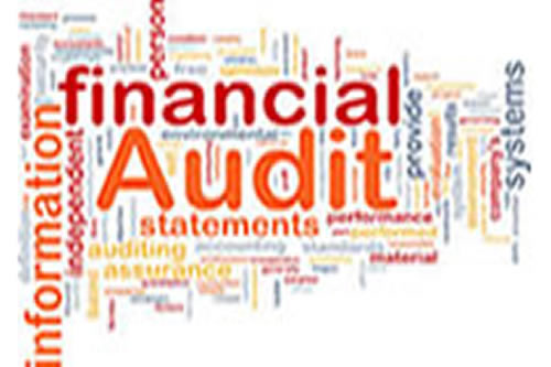 Finance_Audit